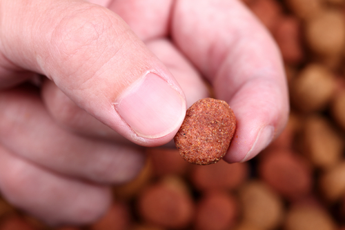 Croquettes de nourriture pour chiens